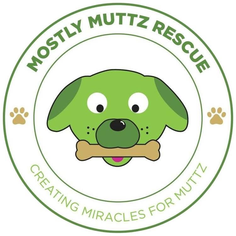 Comedy Fundraiser to benefit Mostly Muttz Rescue at SoulJoel's Comedy Club