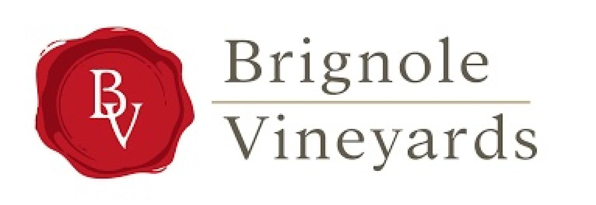 Comedy Night at Brignole Vineyards at Comedy Craft Beer