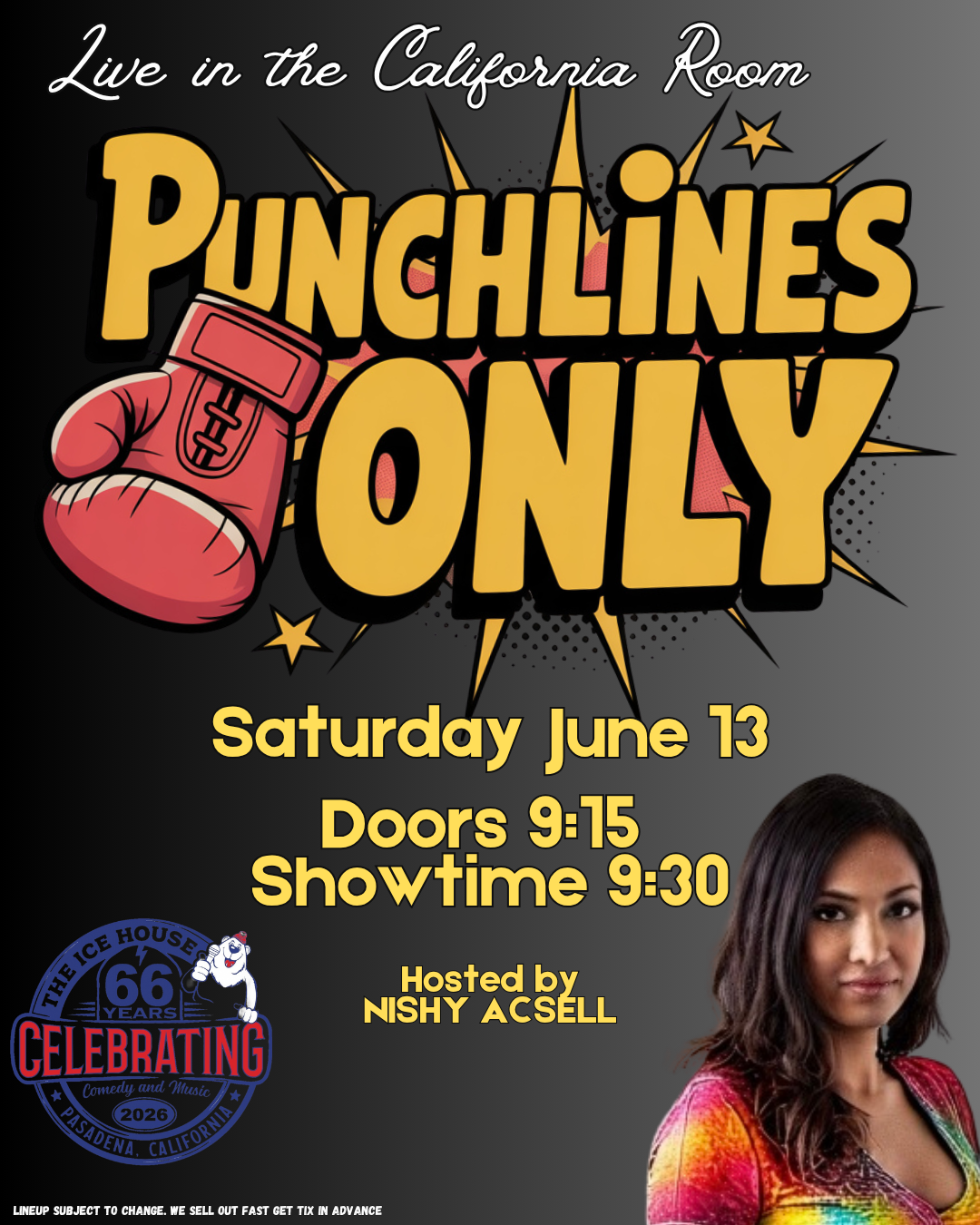 Punchlines Only Comedy at The Ice House