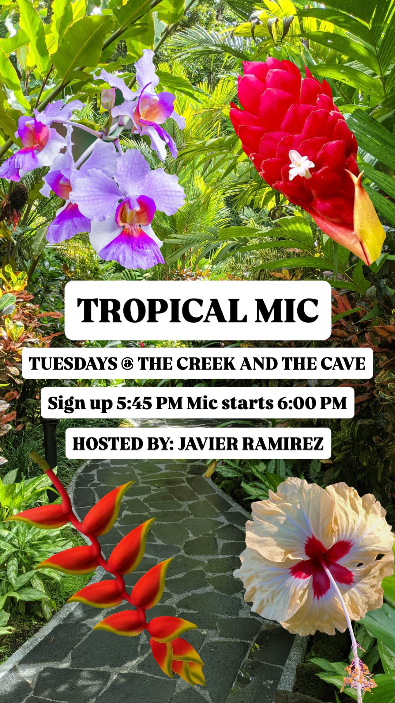 Tropical Mic at The Creek and The Cave