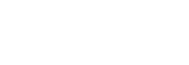 The Orpheum Theatre