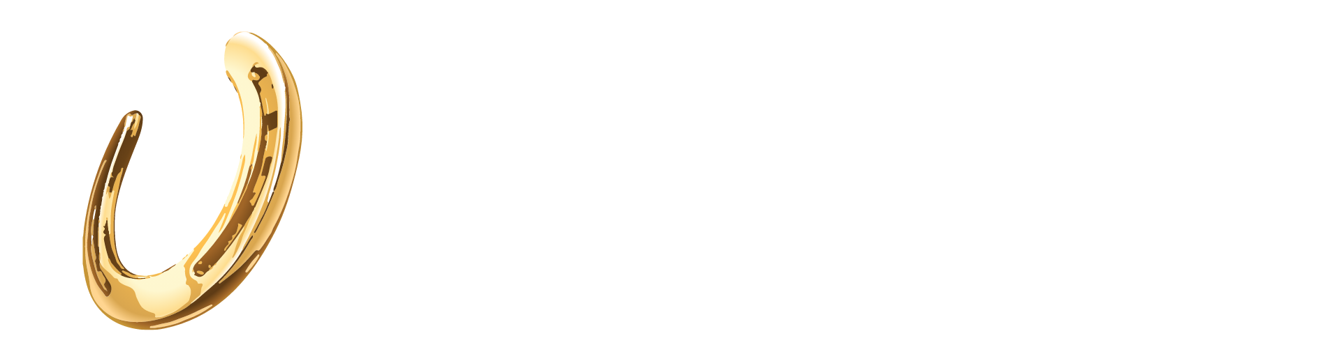 The Venue at Horseshoe Casino Hammond